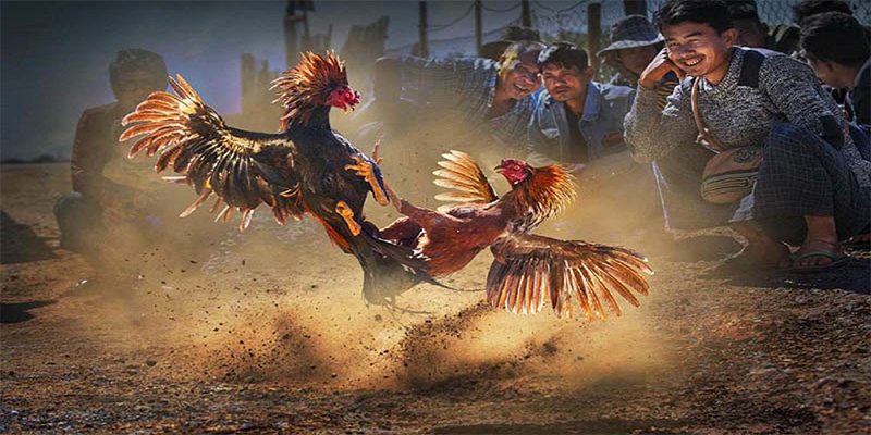 sum5 club đăng nhập roulette số 1