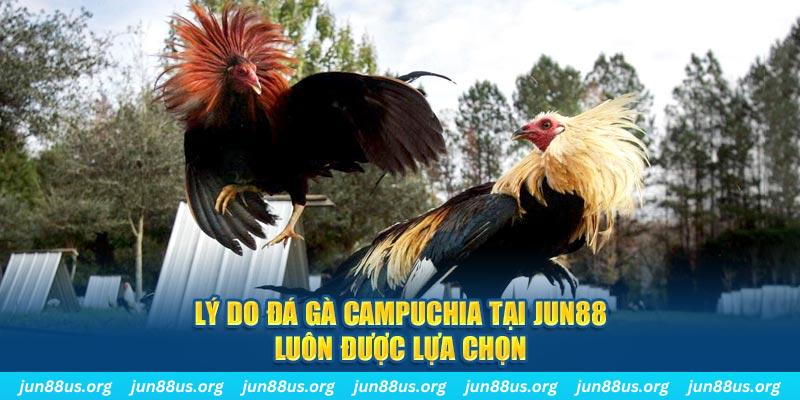 sum5 club tài xỉu nổ hũ là gì