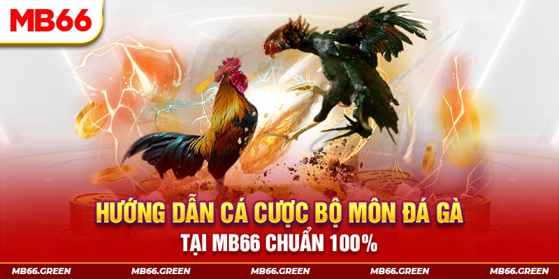 sum5 club xổ số bình định