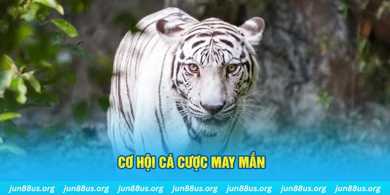 sum5 club hết slot la gì