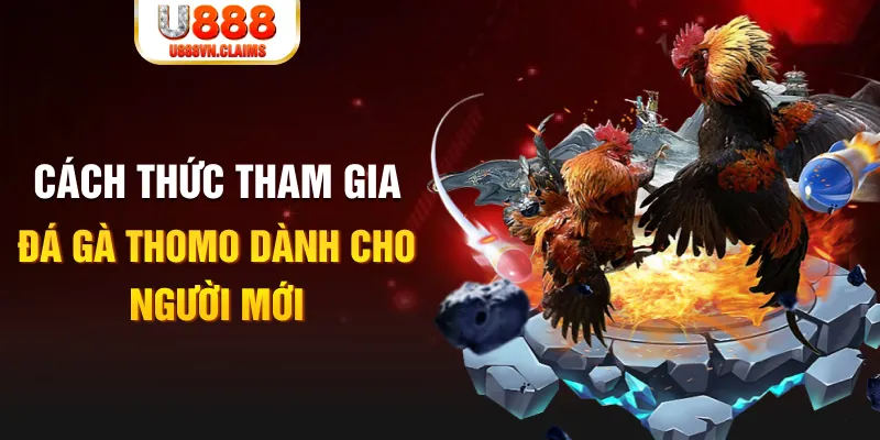 sum5 club kết quả xổ số miền nam