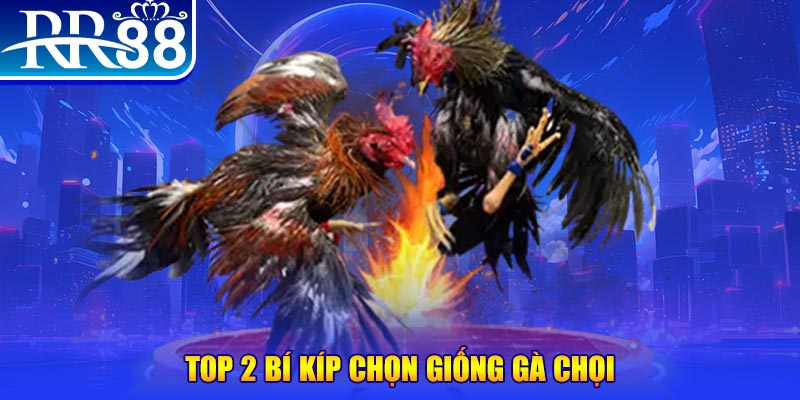 sum5 club đăng nhập roulette dễ thắng