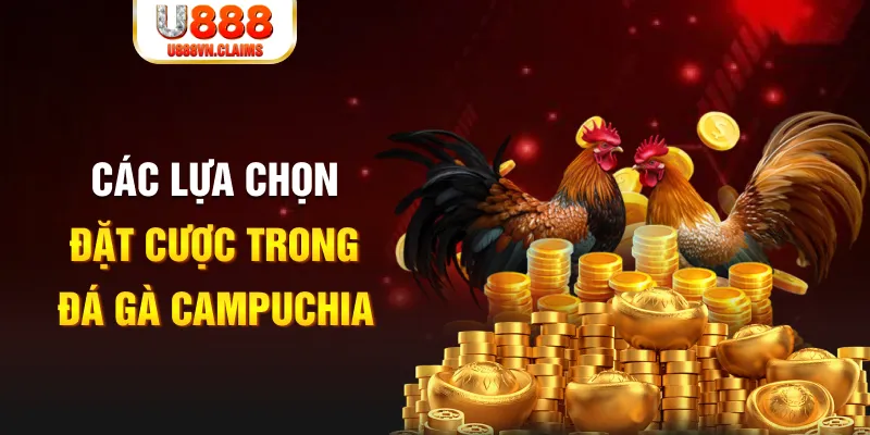 sum5 club SW Xổ Số