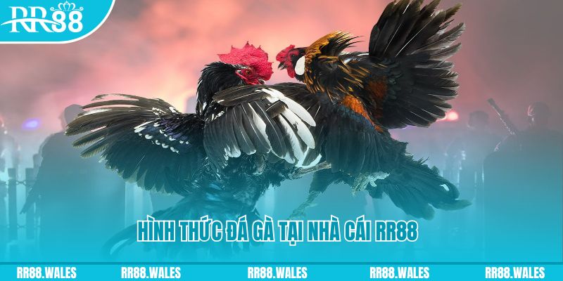 sum5 club xin 1 slot là gì