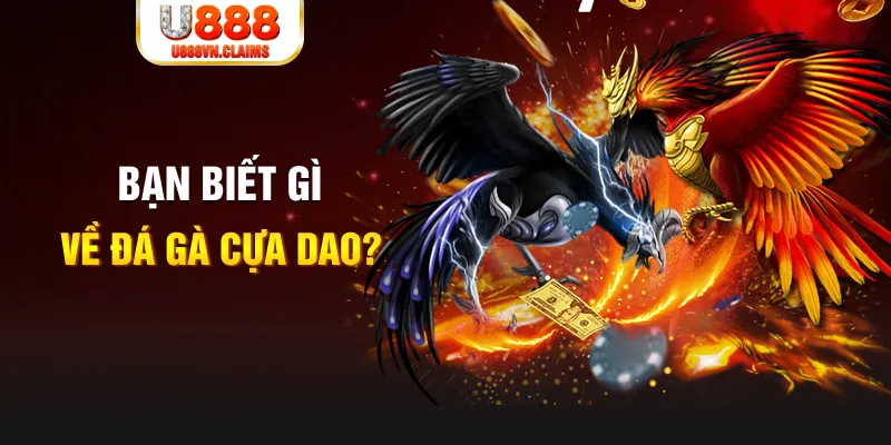 sum5 club xổ số kiến thiết
