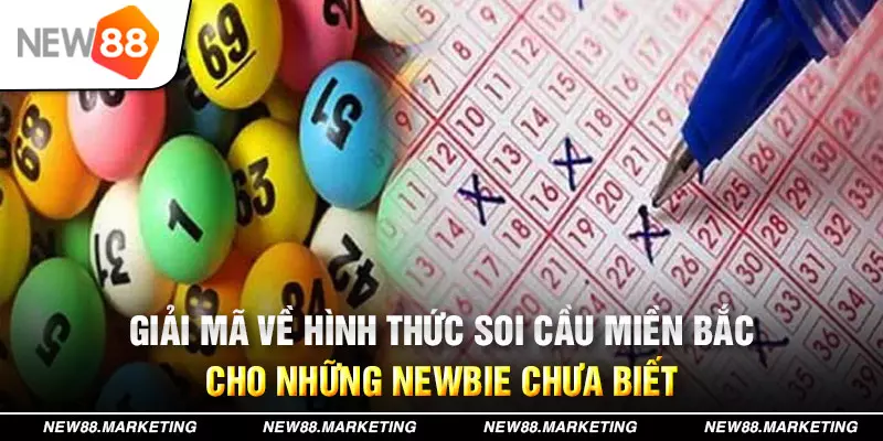 sum5 club đăng nhập mậu binh live