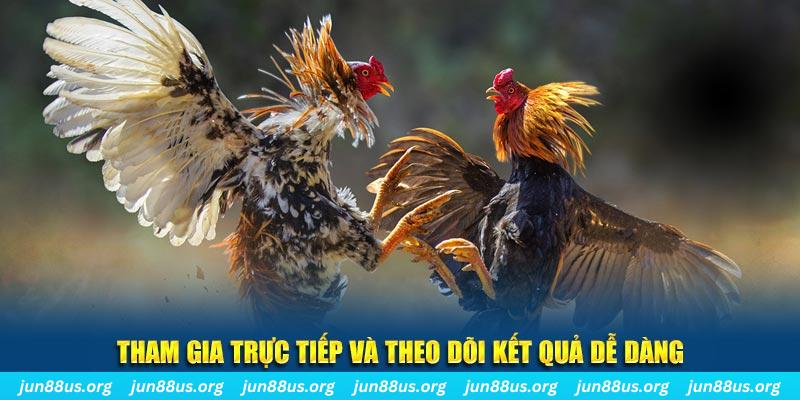 sum5 club đá gà trực tiếp bình luận viên