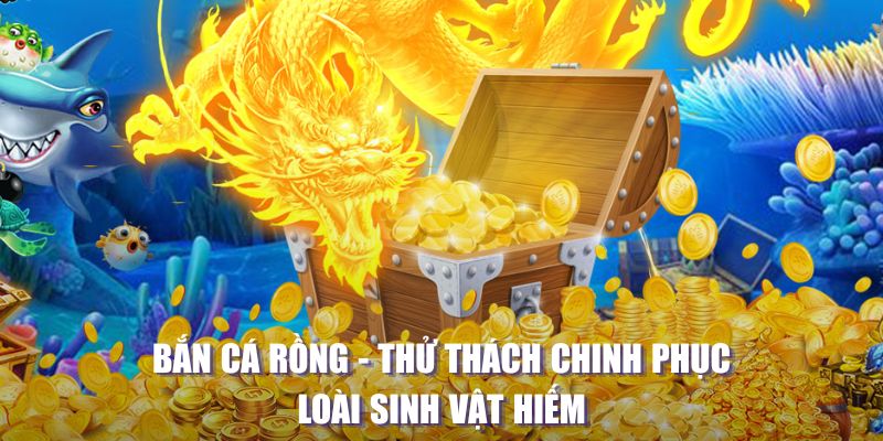 sum5 club game bai beme tren may tinh