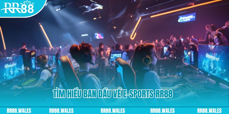 sum5 club Đĩa màu ace