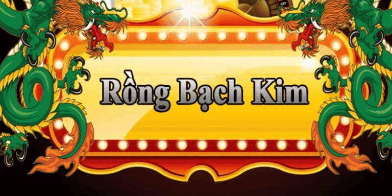 sum5 club đăng nhập roulette 2025