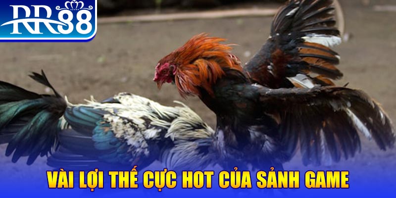 sum5 club đăng nhập lô đề đổi thưởng