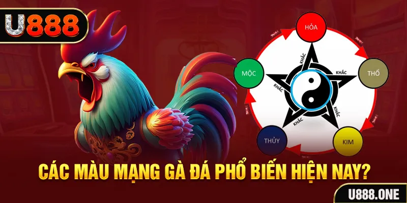 sum5 club đăng nhập mậu binh