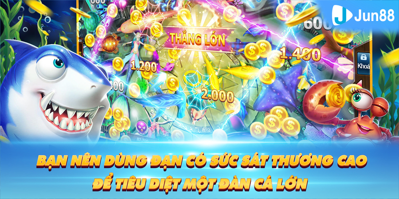 sum5 club Tung Đồng Xu