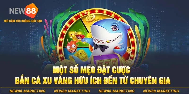 sum5 club what is a casino deposit bonus