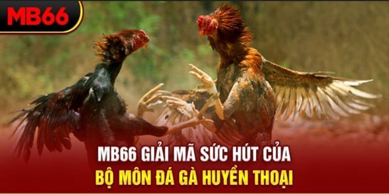 sum5 club Phi Đội Ưu Tú