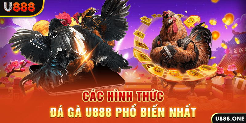 sum5 club DB Trực Tuyến