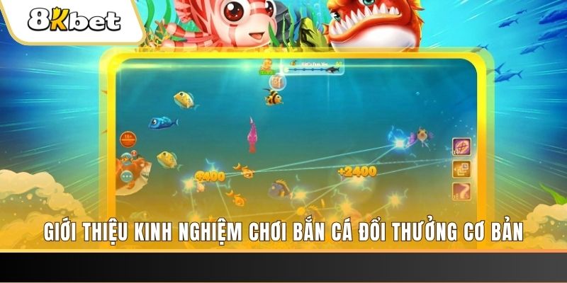 sum5 club xổ số miền bắc thứ năm hàng tuần