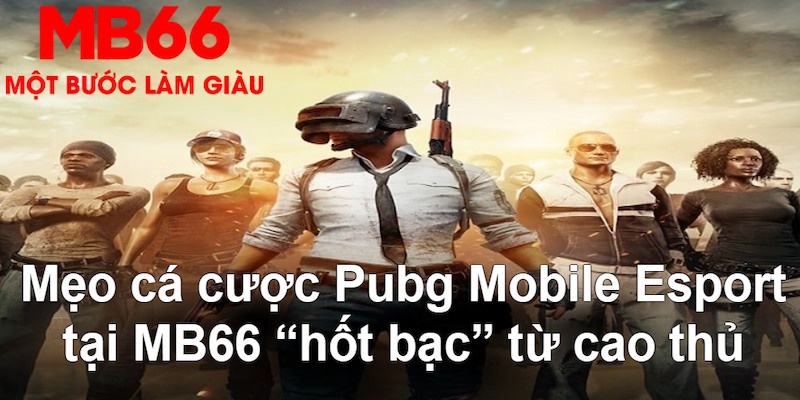 sum5 club gà chọi mộc hóa