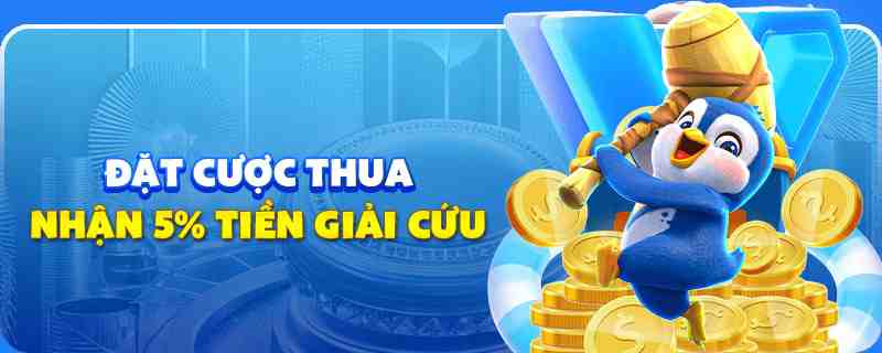sum5 club gà chọi cu cần