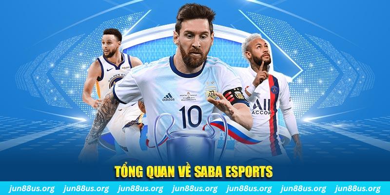 sum5 club gà chọi c1 tv trực tiếp hôm nay