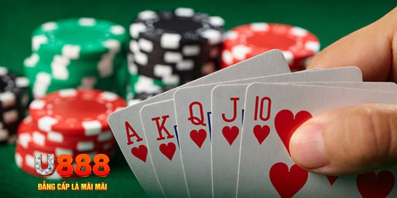 sum5 club trực tiếp đá gà